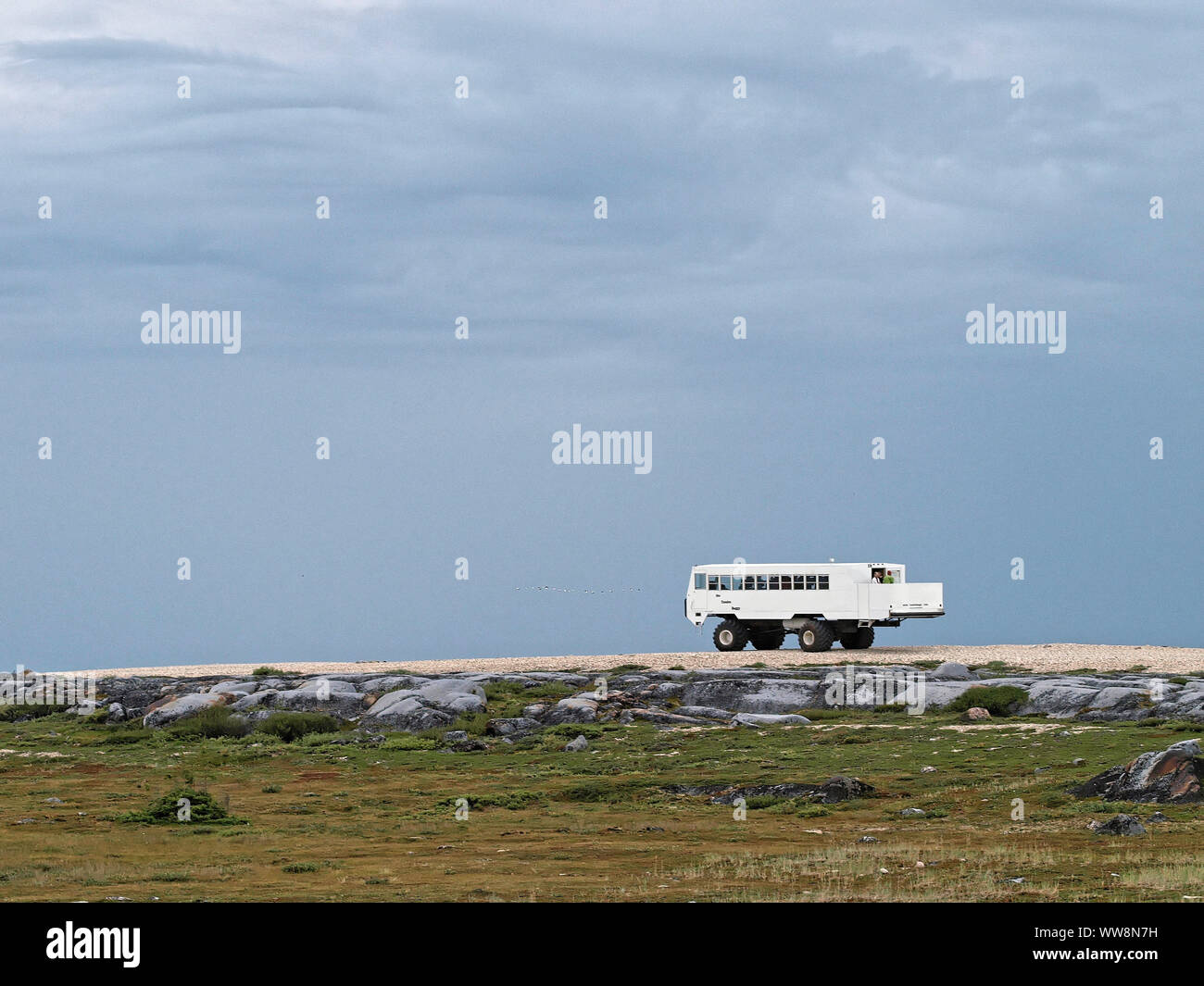 Tundra buggy hi-res stock photography and images - Alamy