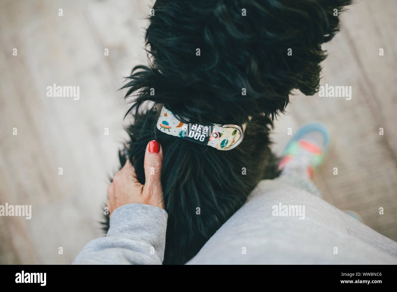 How To Get Nail Polish Out Of Dog Fur