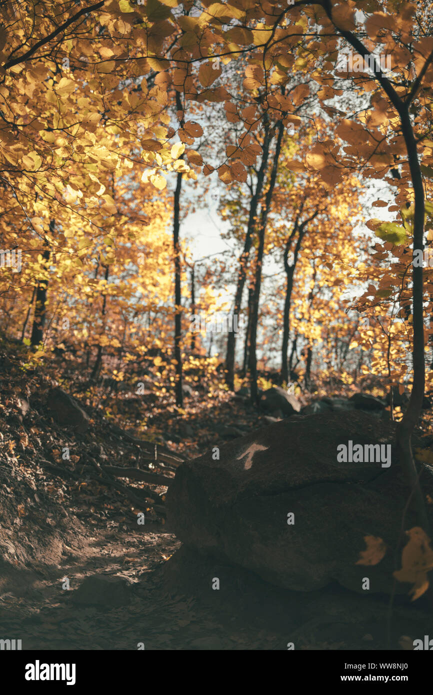 fall landscape in upstate new york Stock Photo