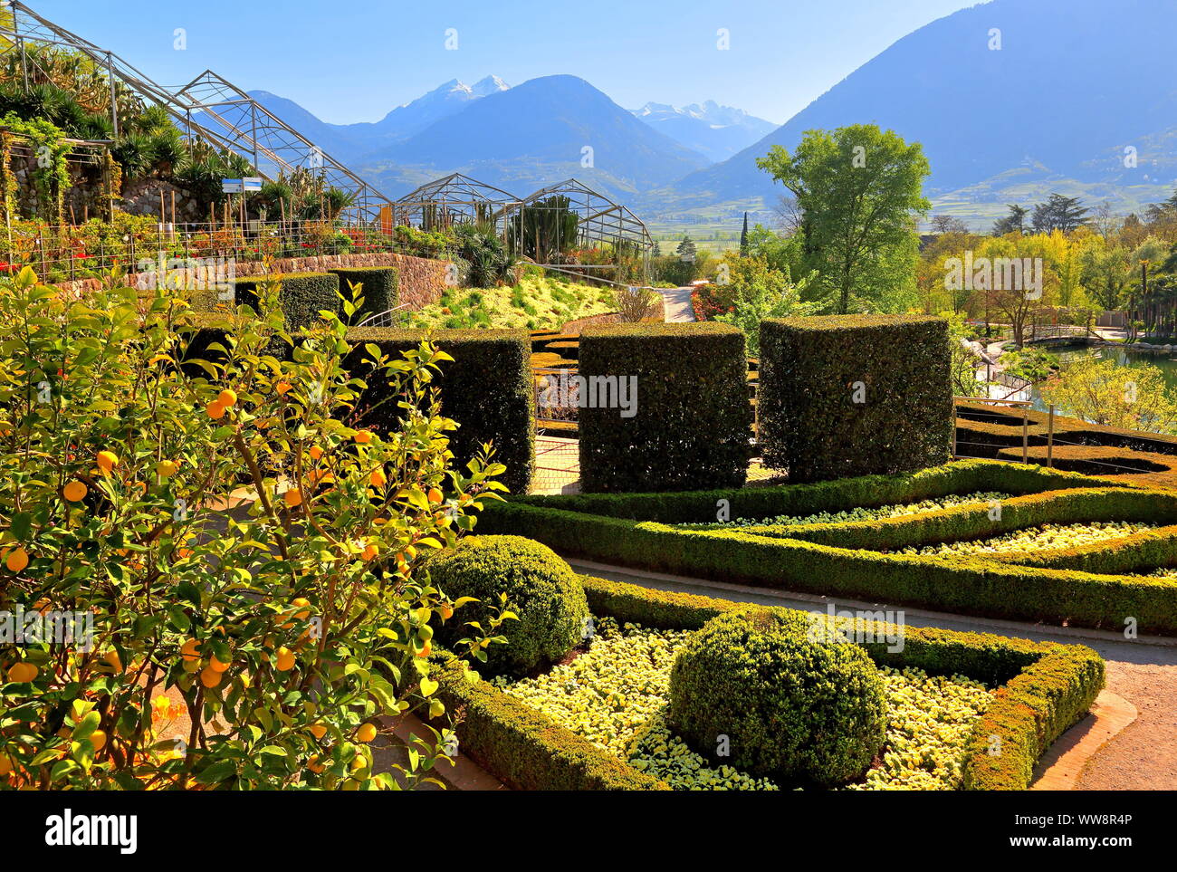 Flowers In Merano Stock Photos Flowers In Merano Stock Images