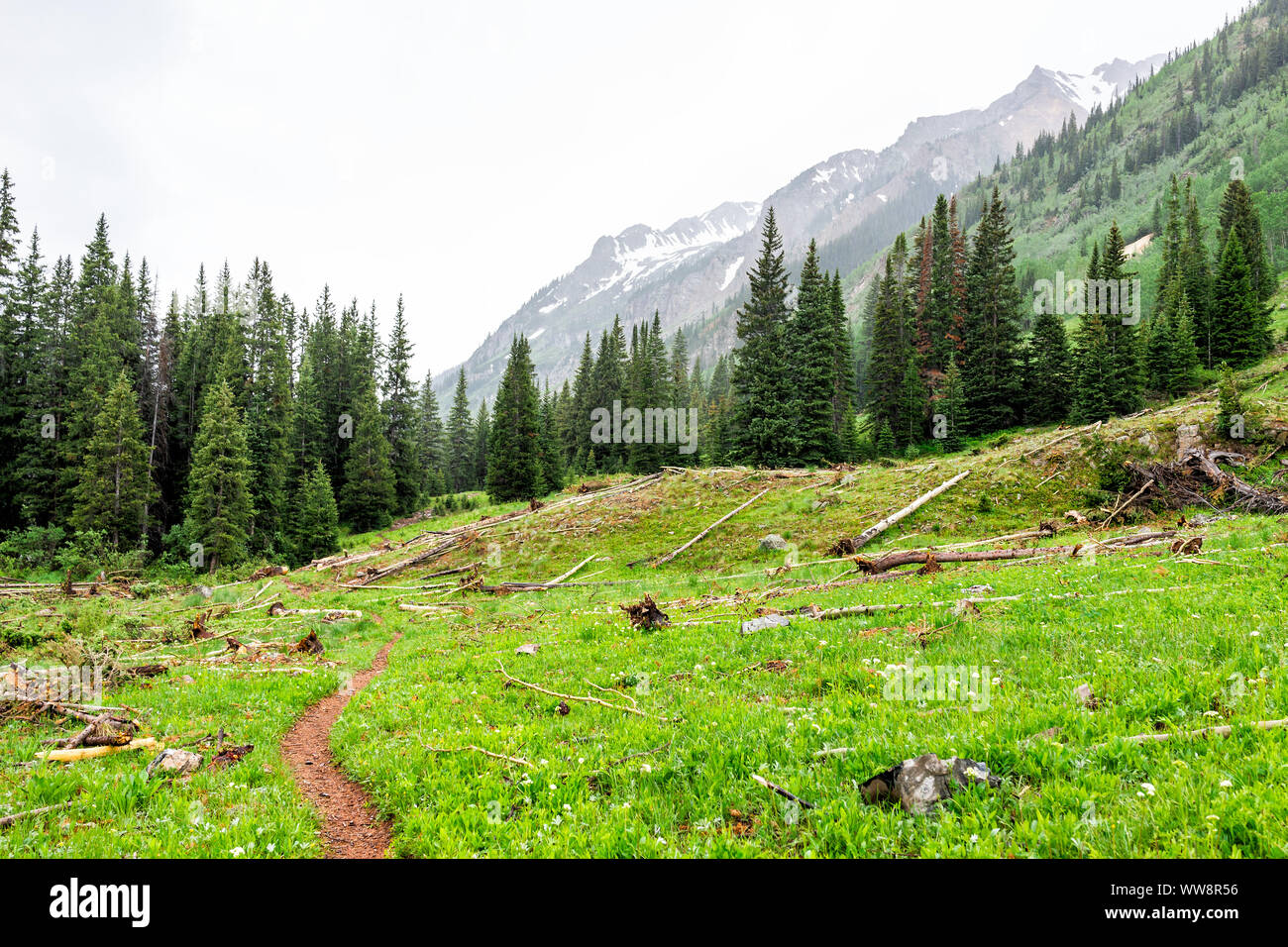 Open valley view on Conundrum Creek Trail in Aspen, Colorado in 2019