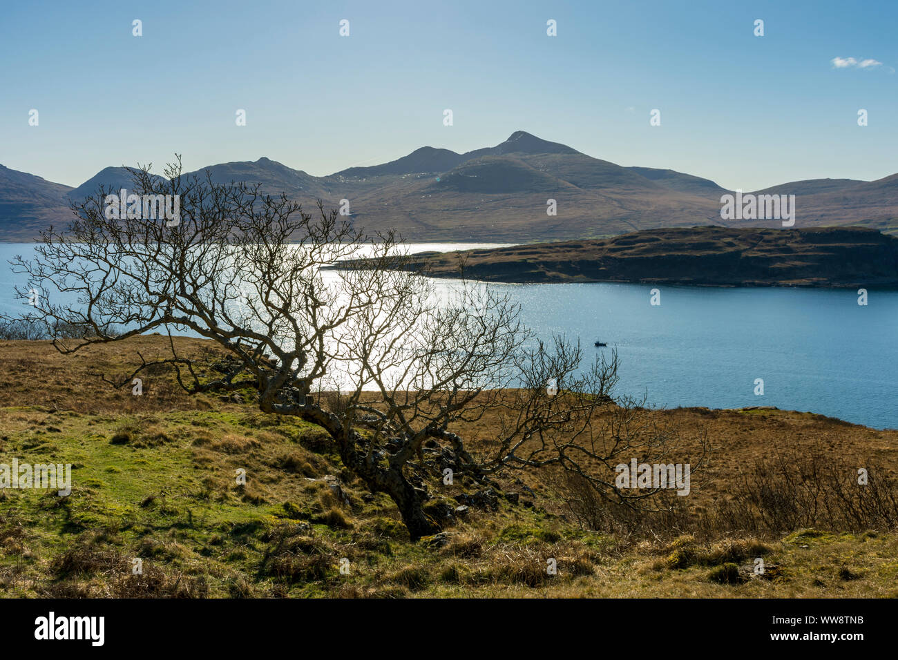 The Ben More hills over Loch na Keal and the island of Eorsa, Isle of Mull, Scotland, UK Stock Photo