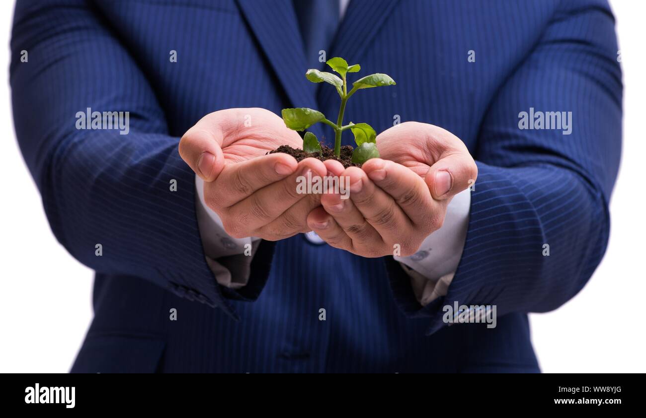 The businessman holding green sprouts isolated on white Stock Photo - Alamy