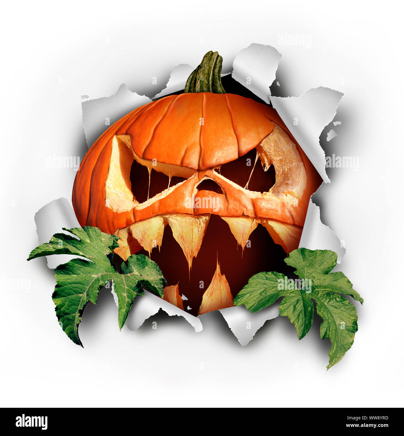 Pumpkin halloween surprise tearing paper with leaves bursting out of ripped hole as a scary dangerous evil jack o lantern with a threatening. Stock Photo