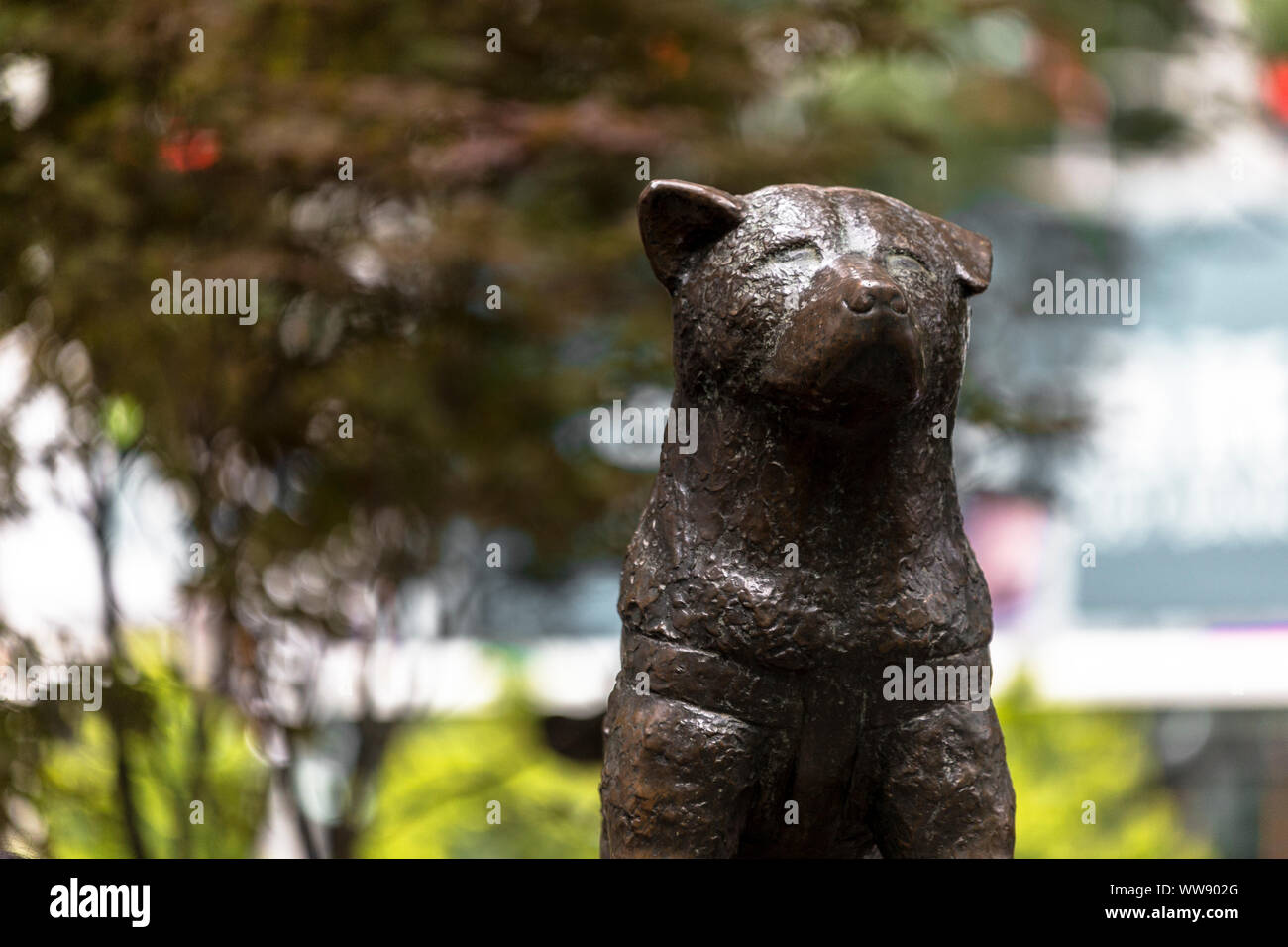Statue of Hachiko, a Japanese Akita dog remembered for his remarkable