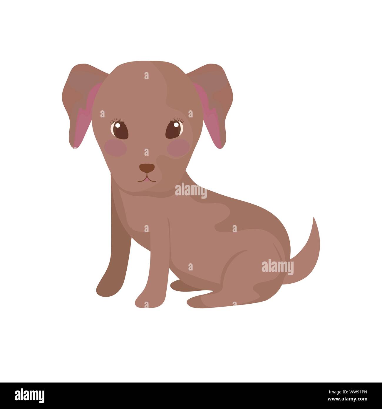 cute poodle dog on white background vector illustration design Stock ...