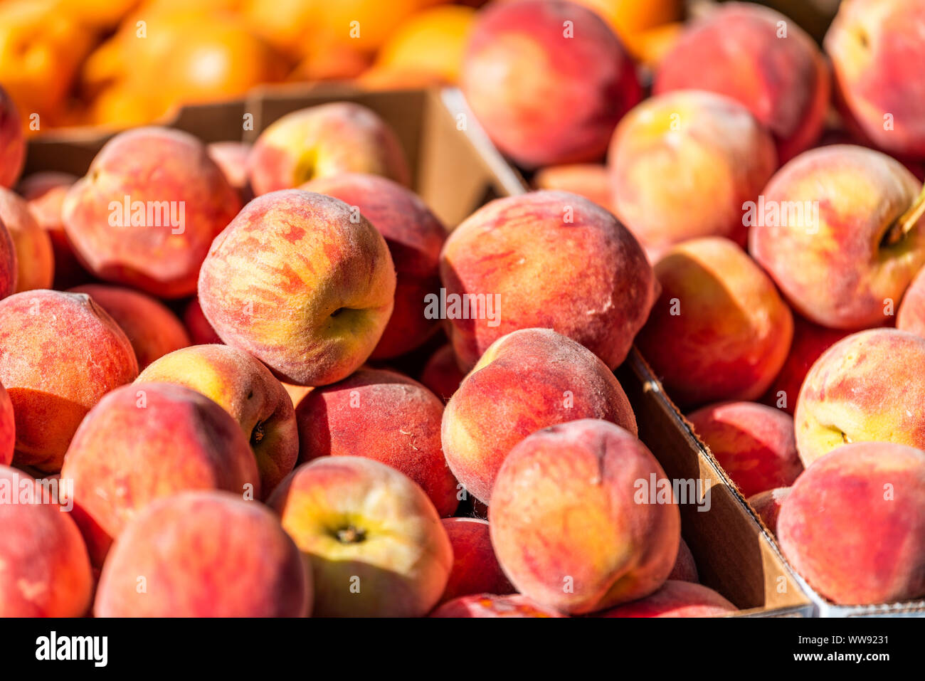 Cardboard display stand hires stock photography and images Alamy