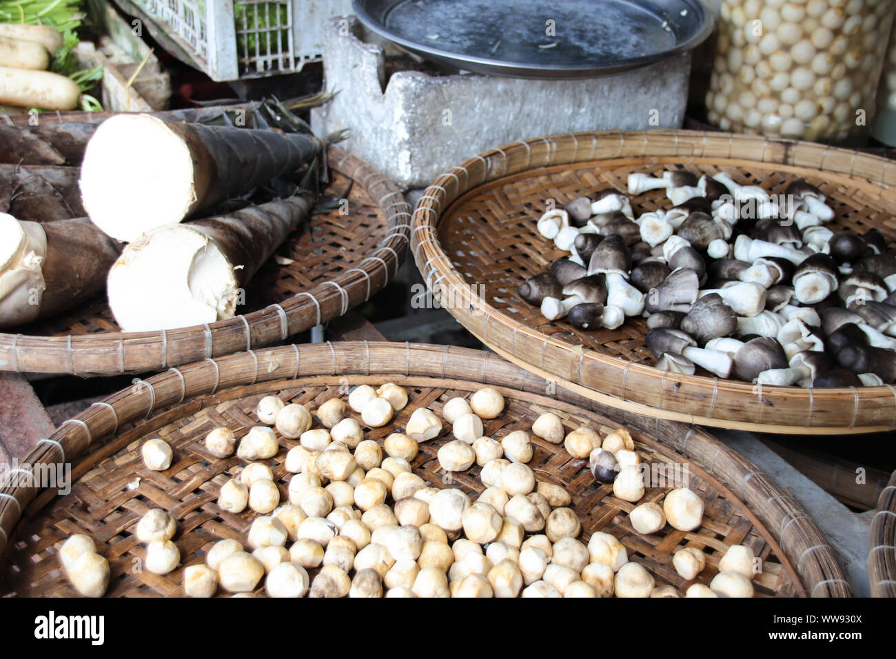 Paddy straw mushroom (Volvariella volvacea) and bamboo shoots sold in the local market of Luang Prabang Laos, candid authentic daily life Stock Photo