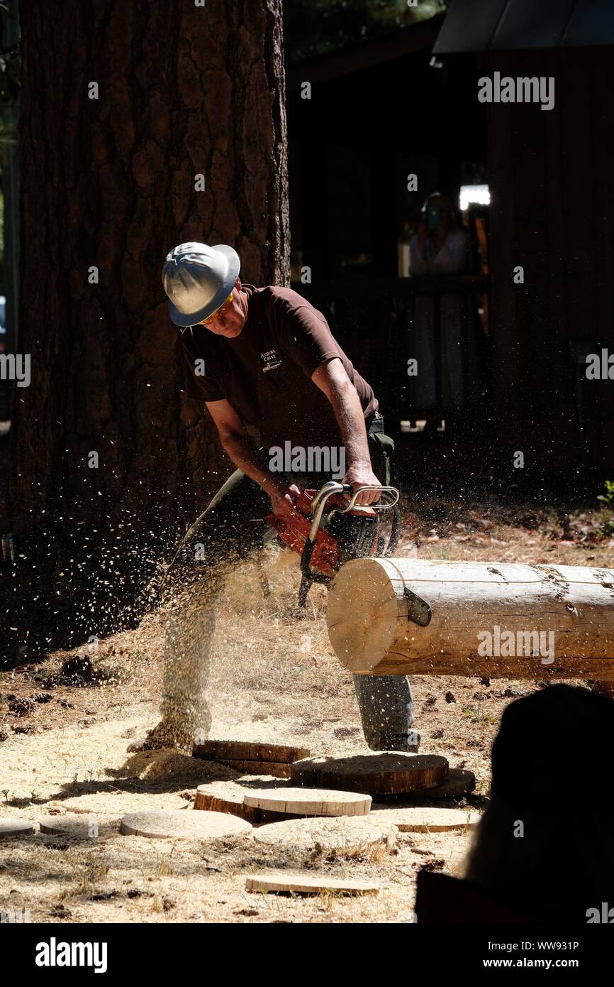 A lumberjack competes in a competition. Stock Photo