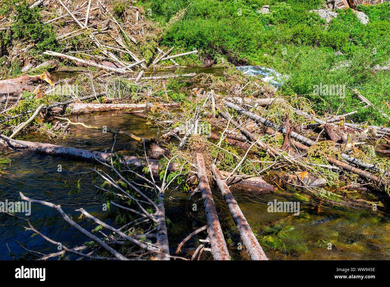 Log Crossing Stream High Resolution Stock Photography and Images Alamy