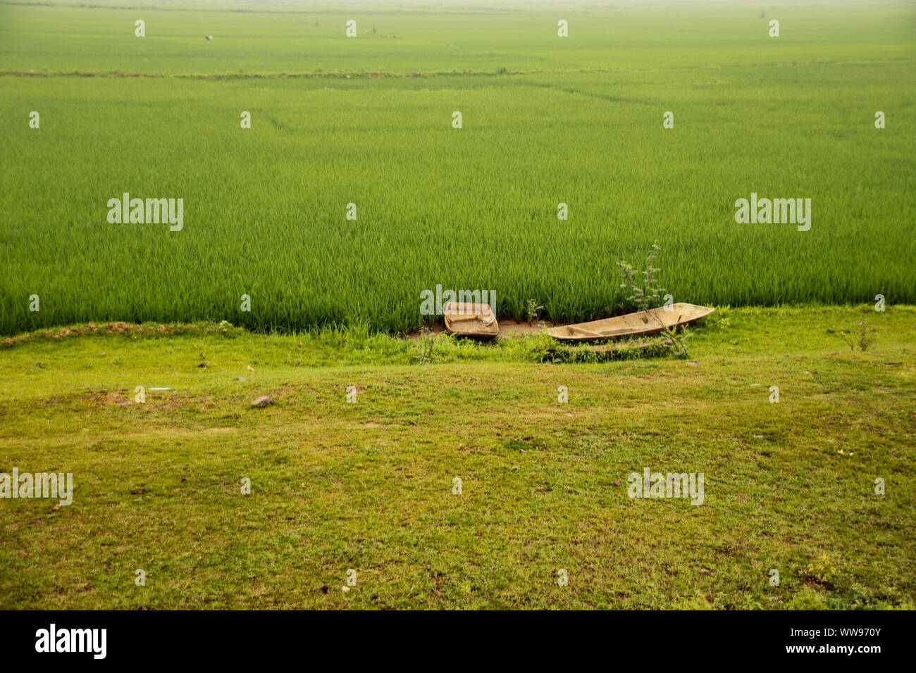 Ninh Bình,  province in northern Vietnam's Red River Delta and is known for its green vast rice fields and cinematic landscapes Stock Photo