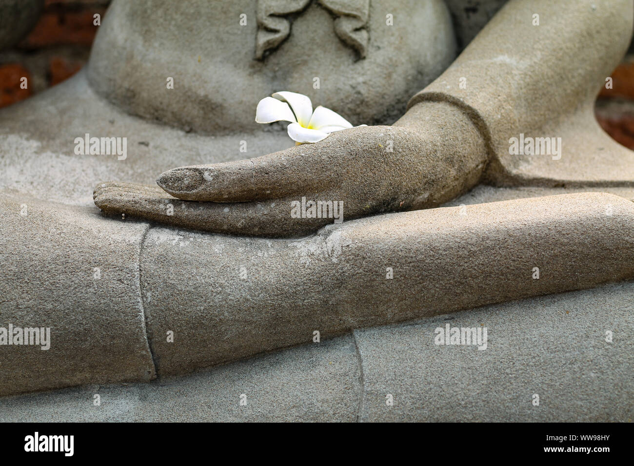 Frangipani flower cradled in a Buddha statue's hand while in a meditative lotus position Stock Photo