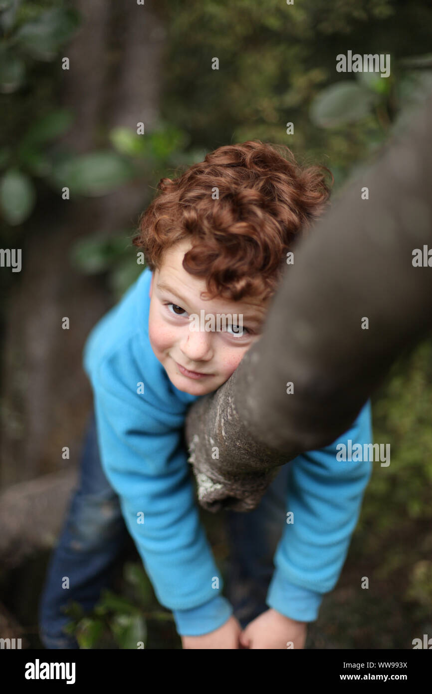 3 year old boy in his happy place, climbing up his favourite tree. Stock Photo