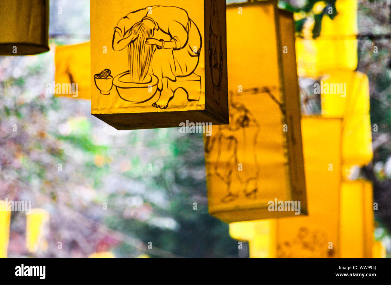 Yellow paper lanterns hanging as decoration during the Tet Festival or Vietnamese New Year Stock Photo