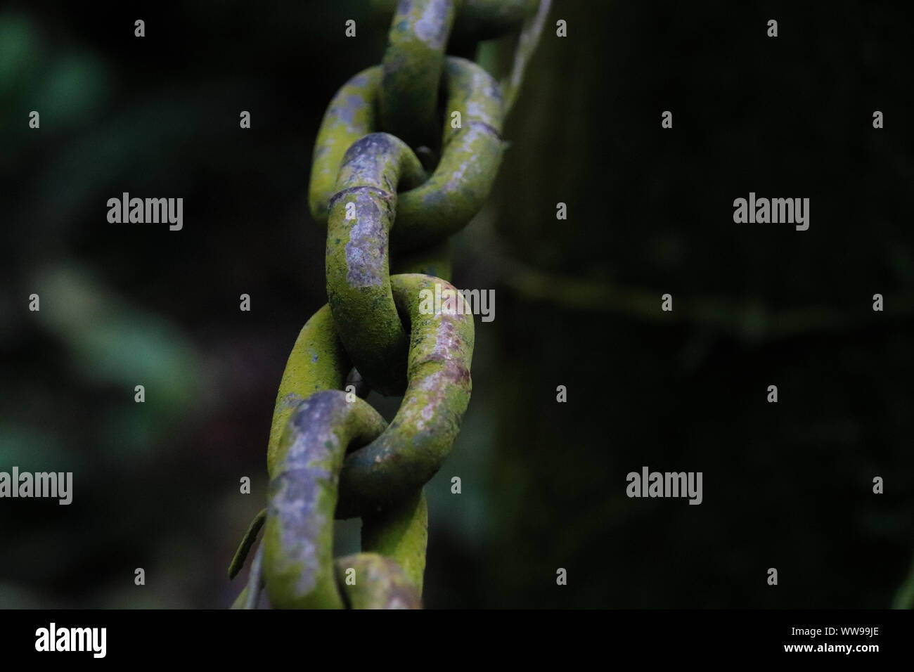Iron chain emerging from the darkness Stock Photo