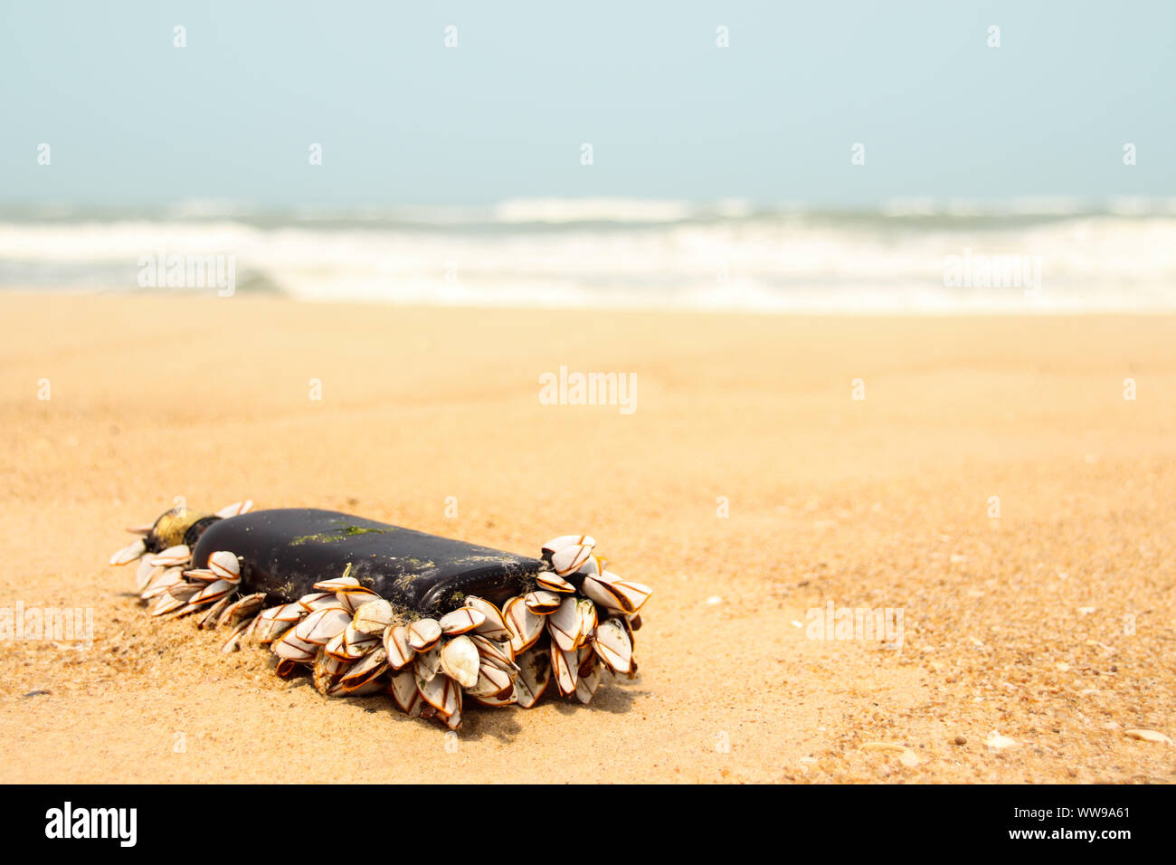 Trash on the beach showing the destructive effects of pollution in the ocean and seas as well as the entire planet Stock Photo