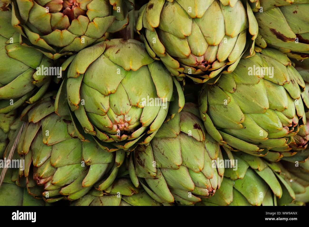 Close up of fresh artichokes staked on top of each other Stock Photo