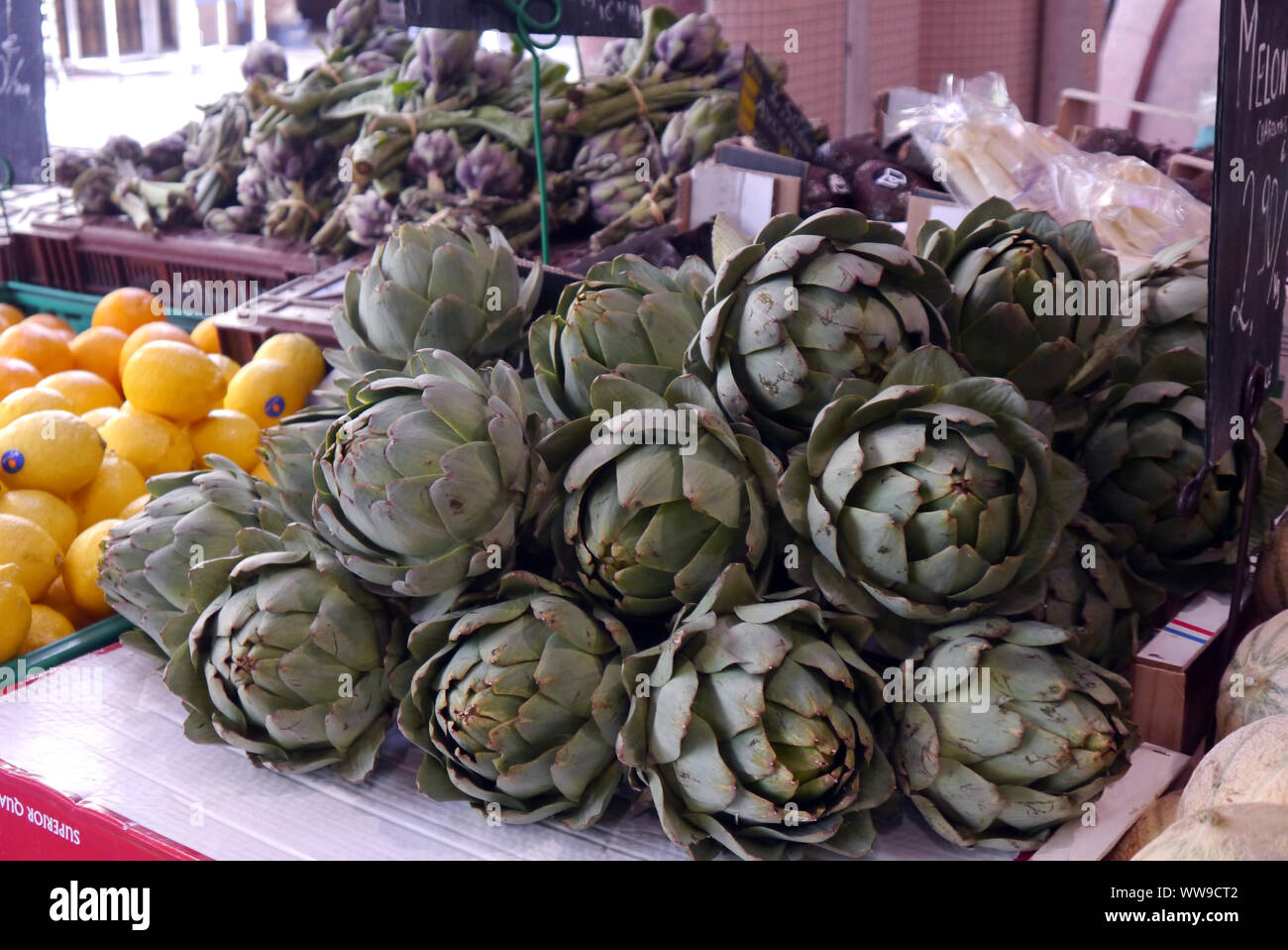 Globe Artichokes (Cynara scolymus) on Display in Forville Market