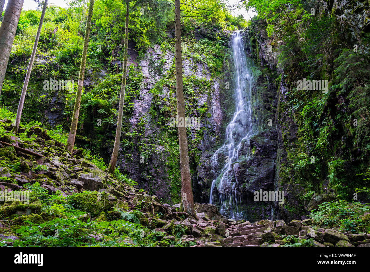 Germany, Magic black forest waterfall in untouched nature landscape called burgbachwasserfall in green paradise like scenery Stock Photo