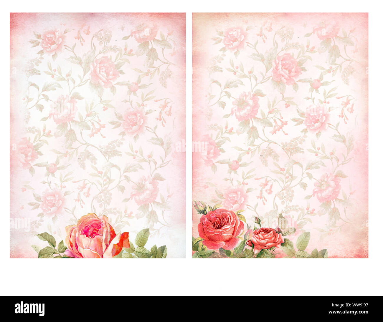 Shabby chic backgrounds with roses - Floral pastel vintage background Stock  Photo - Alamy