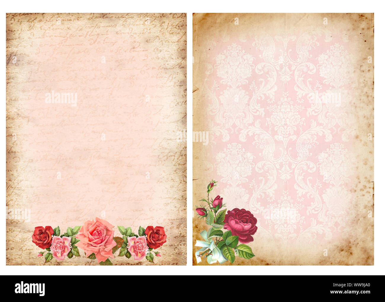 Vintage backgrounds with roses Floral vintage background Stock Photo