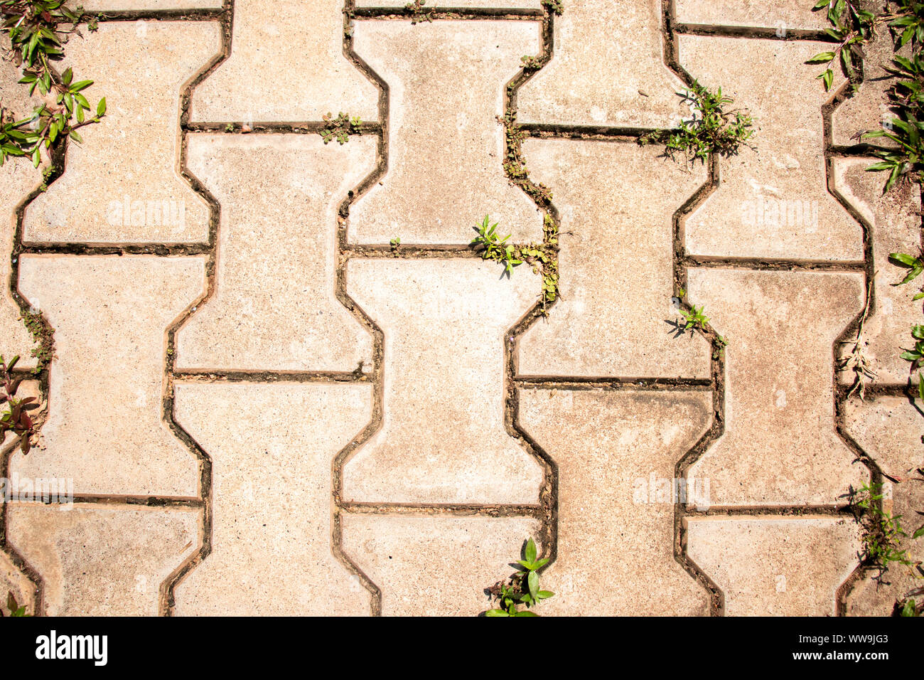 old cement tile texture with grass Stock Photo Alamy
