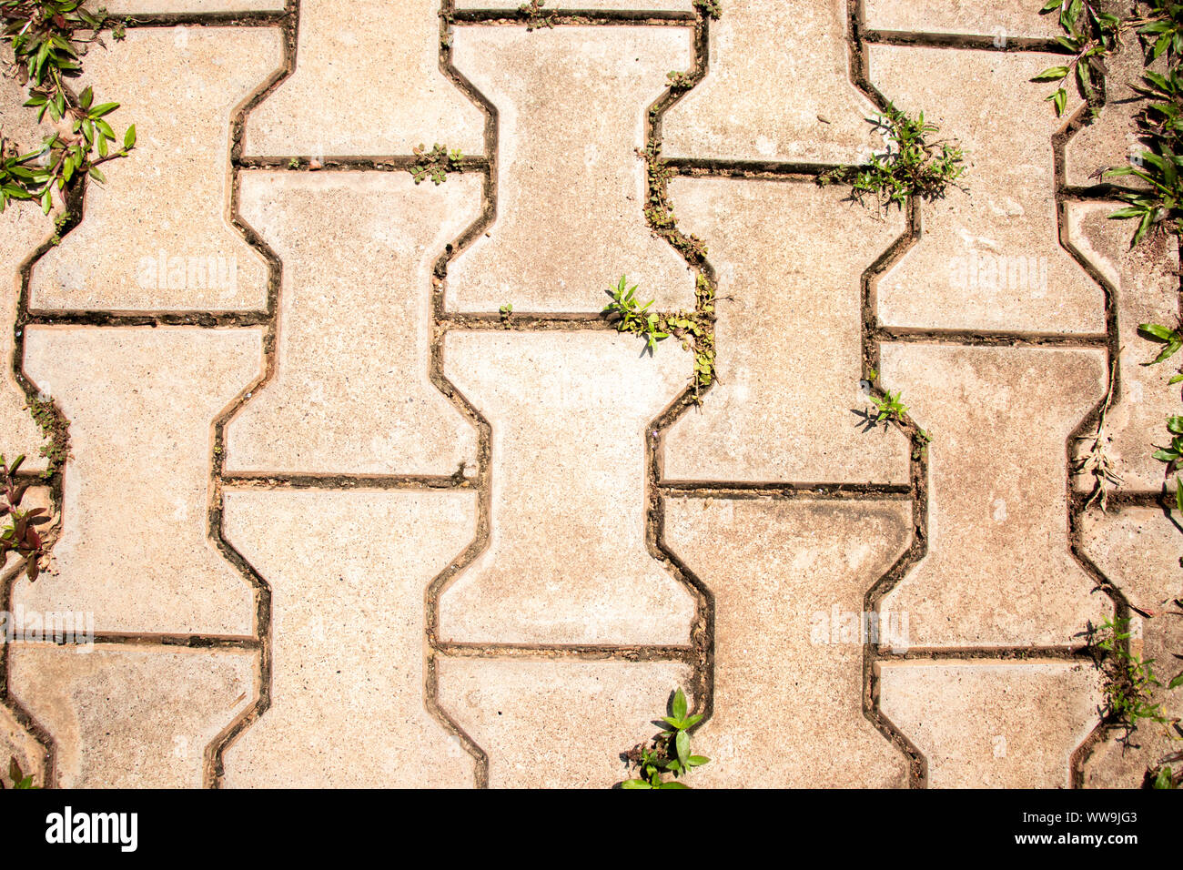 old cement tile texture with grass Stock Photo