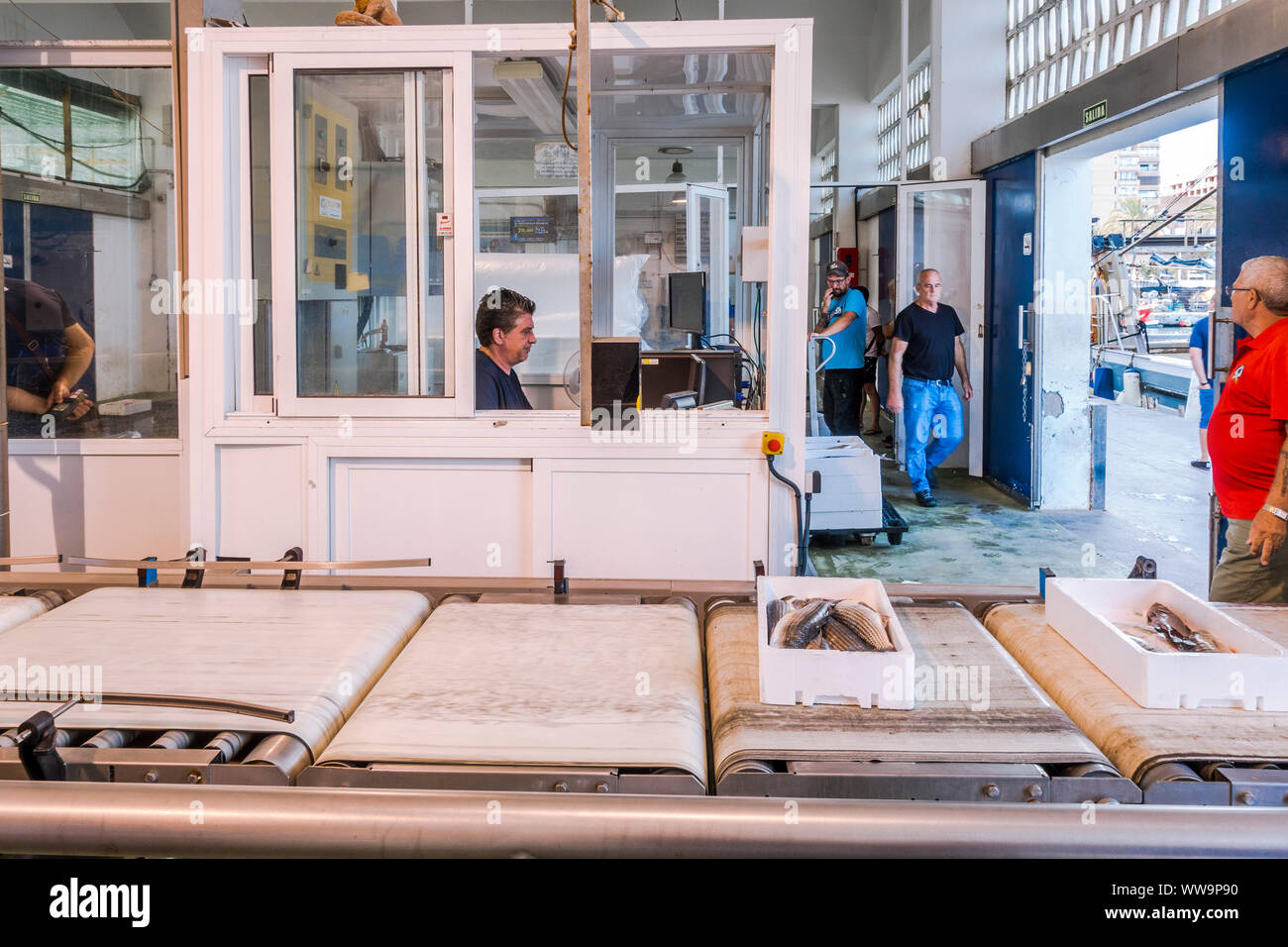 Fish auction market and seafood market, Fuengirola, Andalusia, spain. Stock Photo