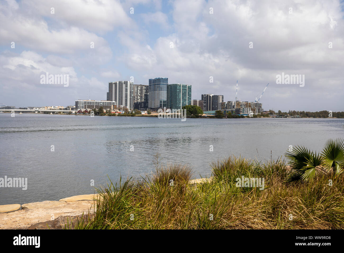 Apartments at Wentworth point suburb of Sydney viewed from memorial park in Meadowbank,Sydney,Australia Stock Photo