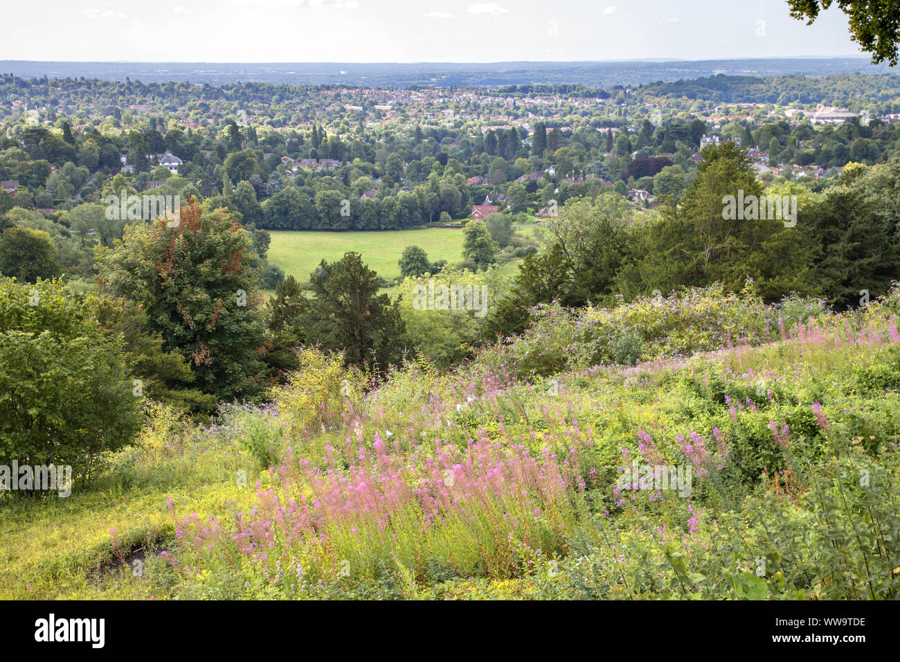 Reigate gatton park hires stock photography and images Alamy