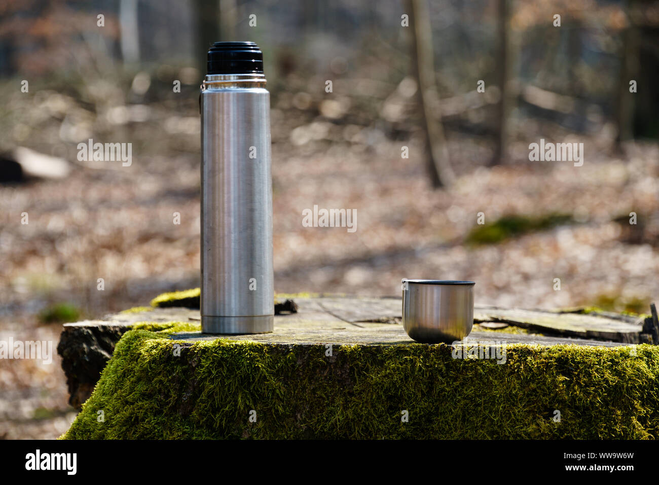 https://c8.alamy.com/comp/WW9W6W/thermos-bottle-and-a-cup-of-coffee-or-tea-on-a-moss-covered-tree-stump-in-sunlight-in-the-woods-head-on-view-horizontal-format-WW9W6W.jpg