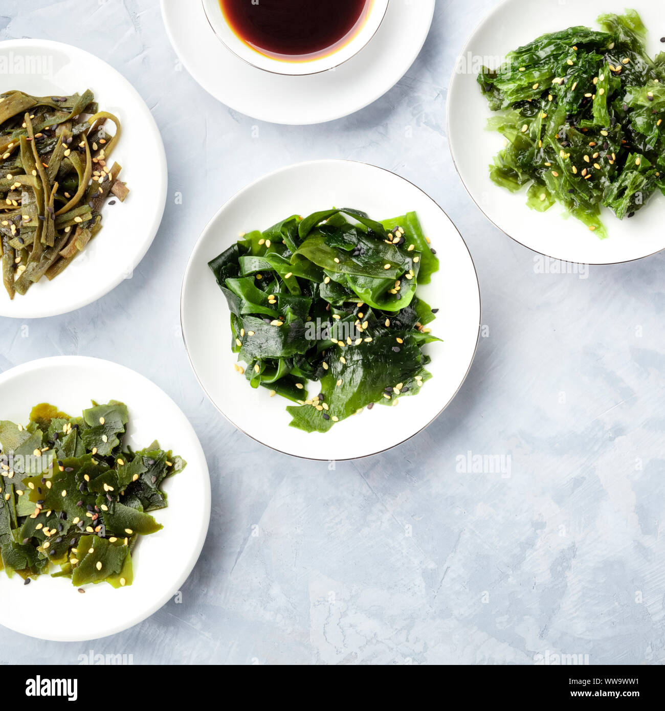 Sea vegetables, overhead square shot with a place for text Stock Photo