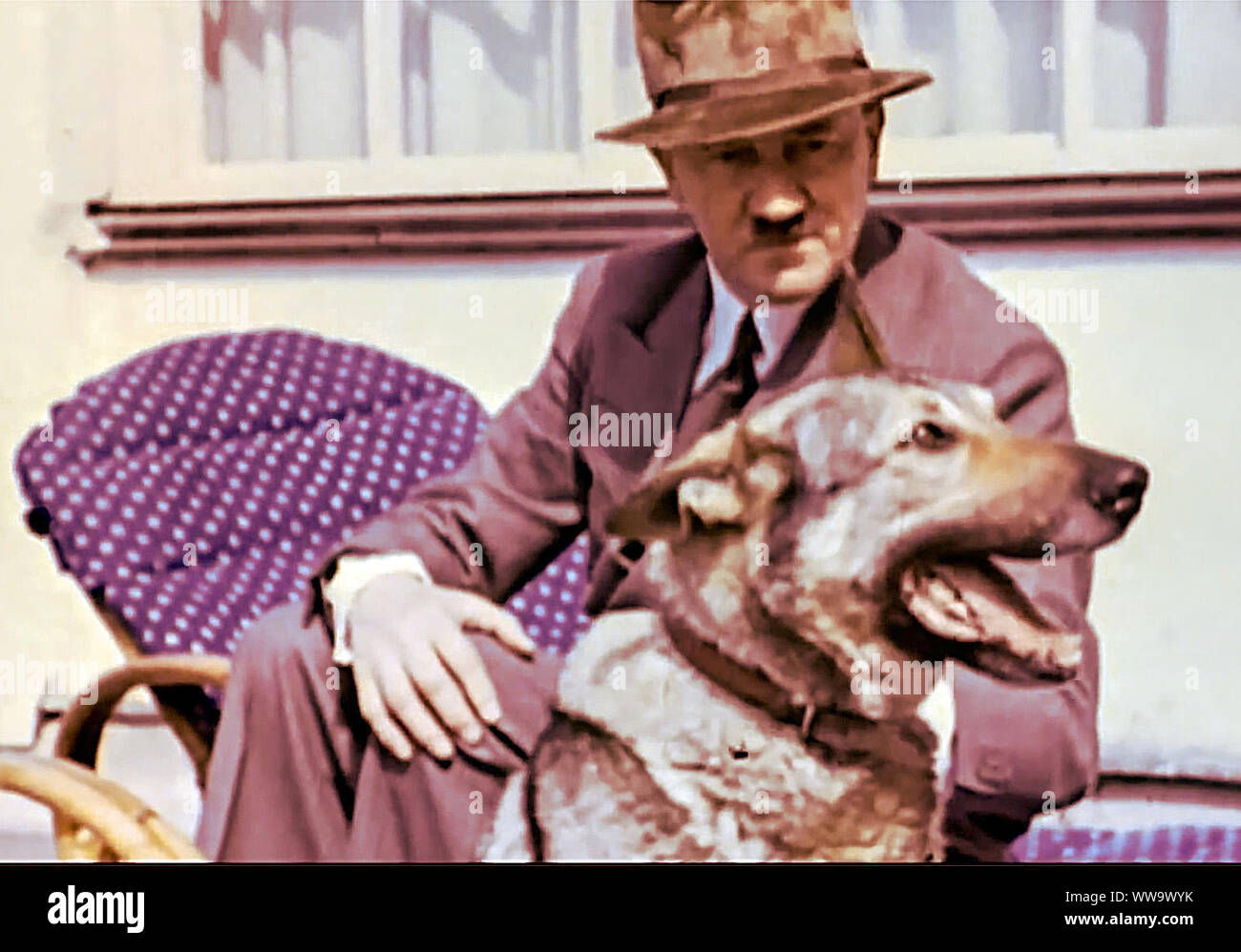 Adolf Hitler with his dog Blondi Stock Photo
