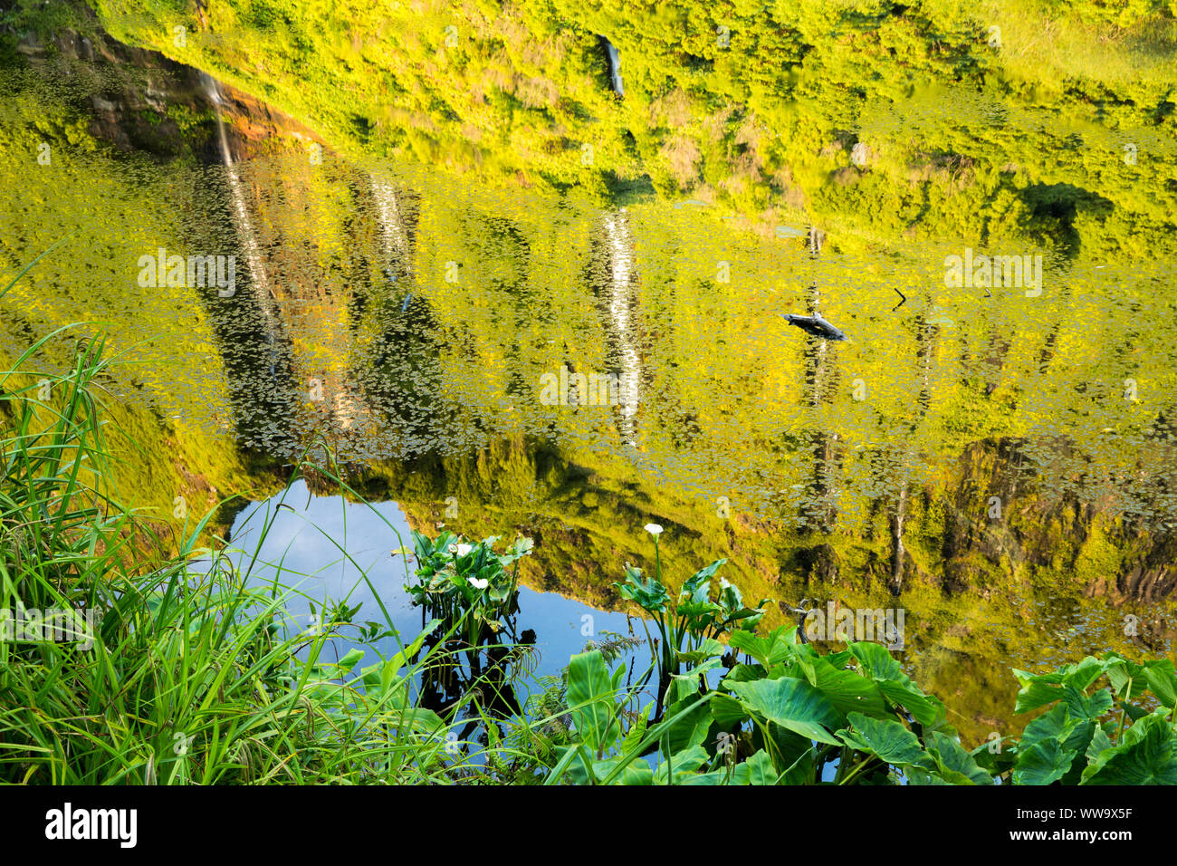 Poço da Alagoinha reflection. Flores, Azores, Portugal Stock Photo