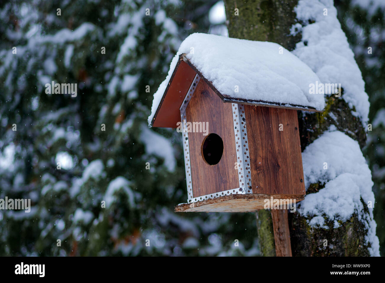 Frost Covered Bird Feeder Stock Photos Frost Covered Bird Feeder
