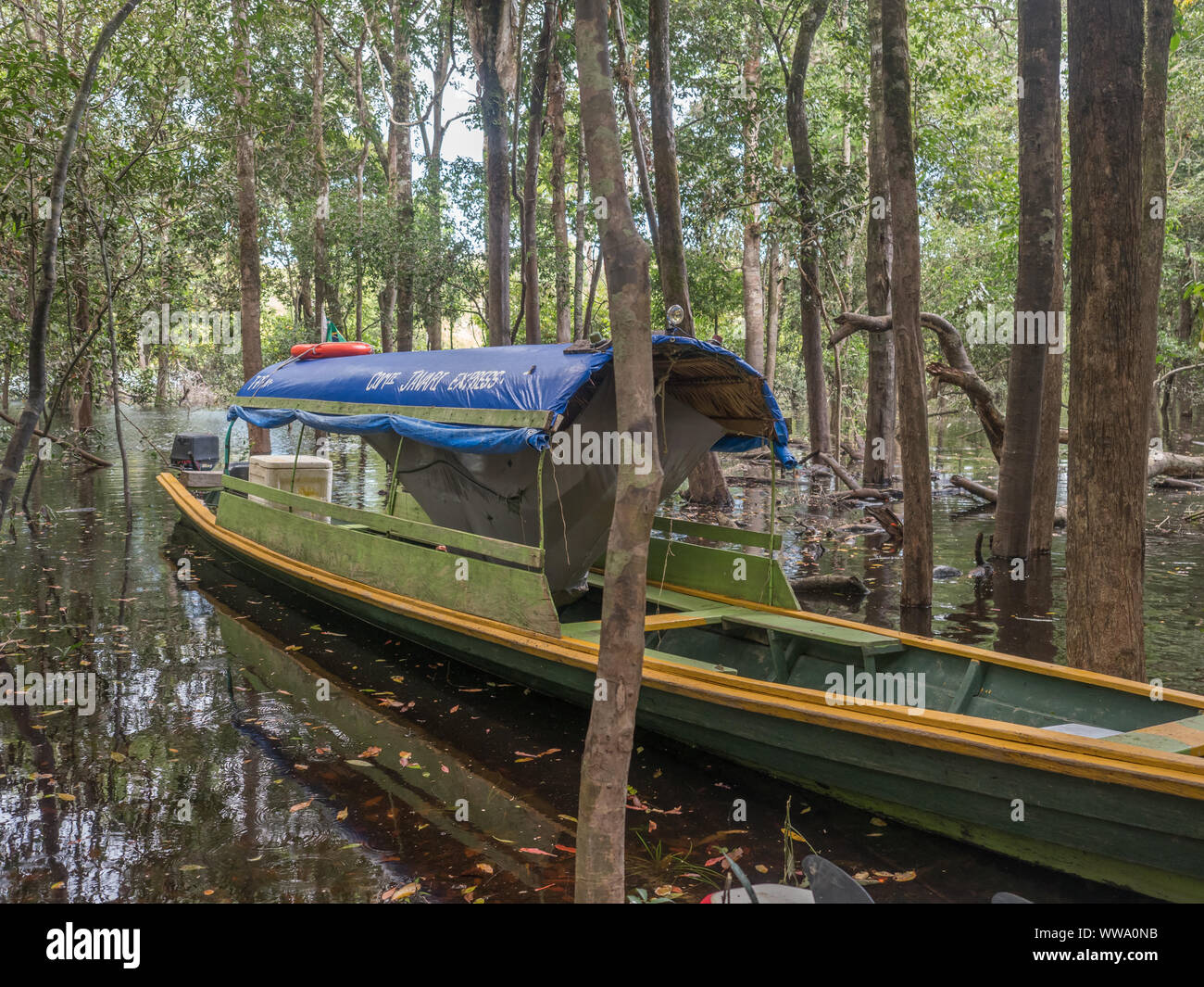 Jungle, Brazil - March 19 2018: Hammock on the boat in the amazon jungle. Selva. South America, Amazonia. Stock Photo