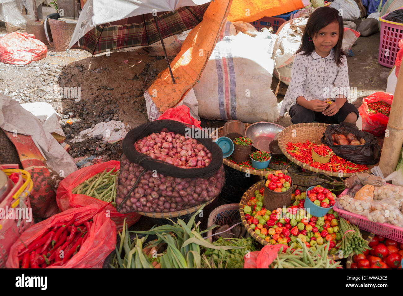 Fruit & vegetables, Market, Rantepao, Sulawesi, Indonesia, 2014 Stock Photo