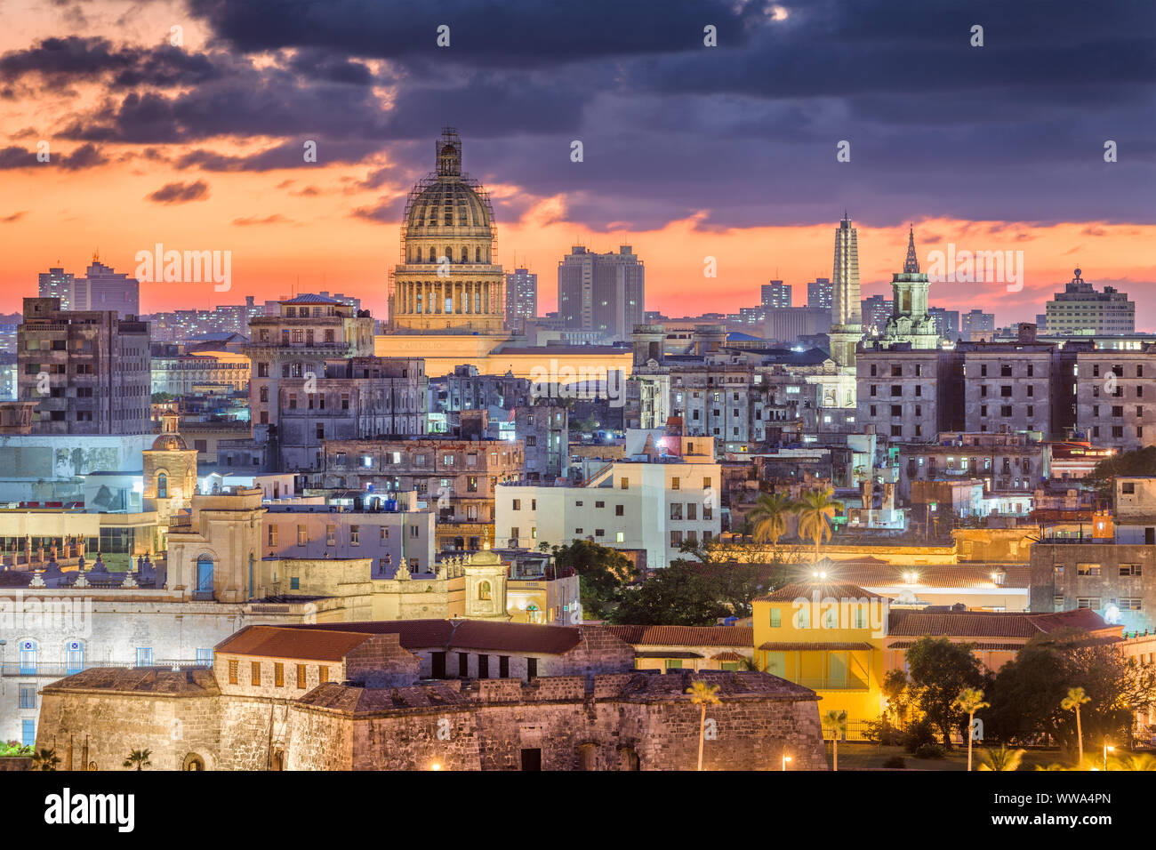 in cuba i was a german shepherd