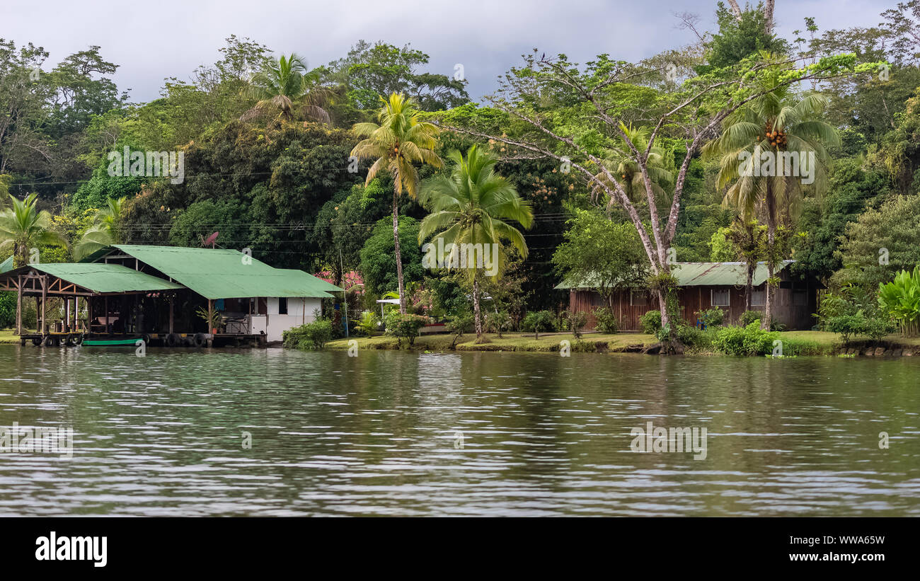 Costa Rica, typical house on the river, in Tortuguero, wildlife in the mangrove Stock Photo