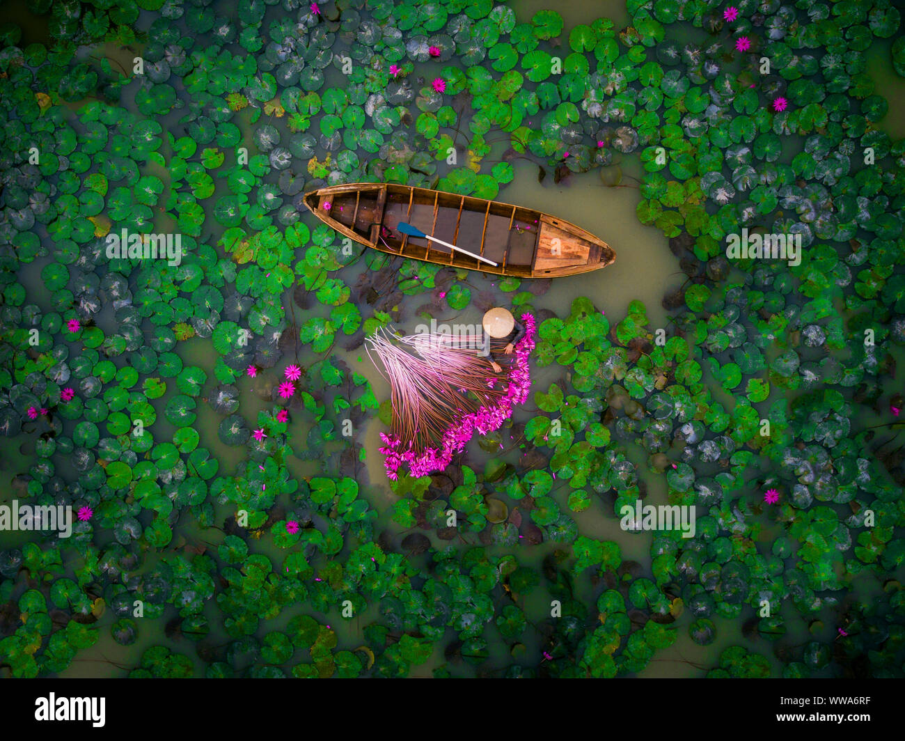 Vietnam Stock Photo Alamy