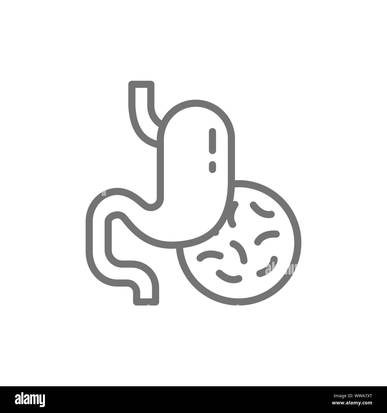 Bacteria in intestine digestive Stock Vector Images - Alamy