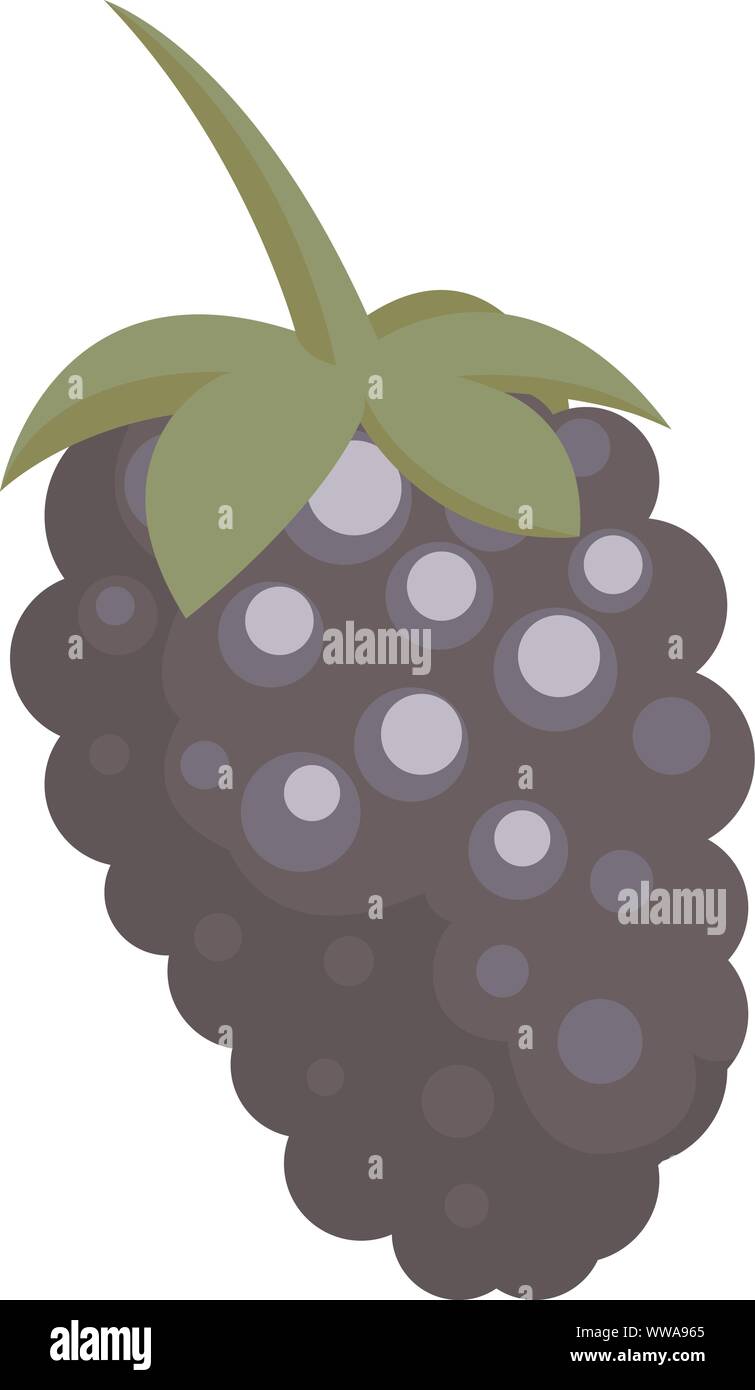 Blackberry Vector Vectors High Resolution Stock Photography And Images Alamy