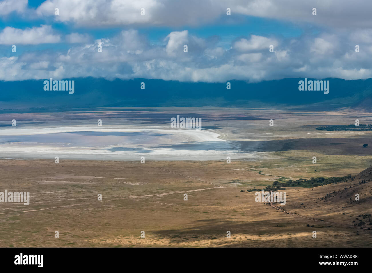 Tanzania, view of the Ngorongoro crater, beautiful landscape with different animals living together Stock Photo