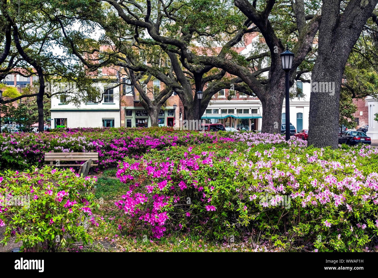 Savanna georgia old historic hi-res stock photography and images - Alamy
