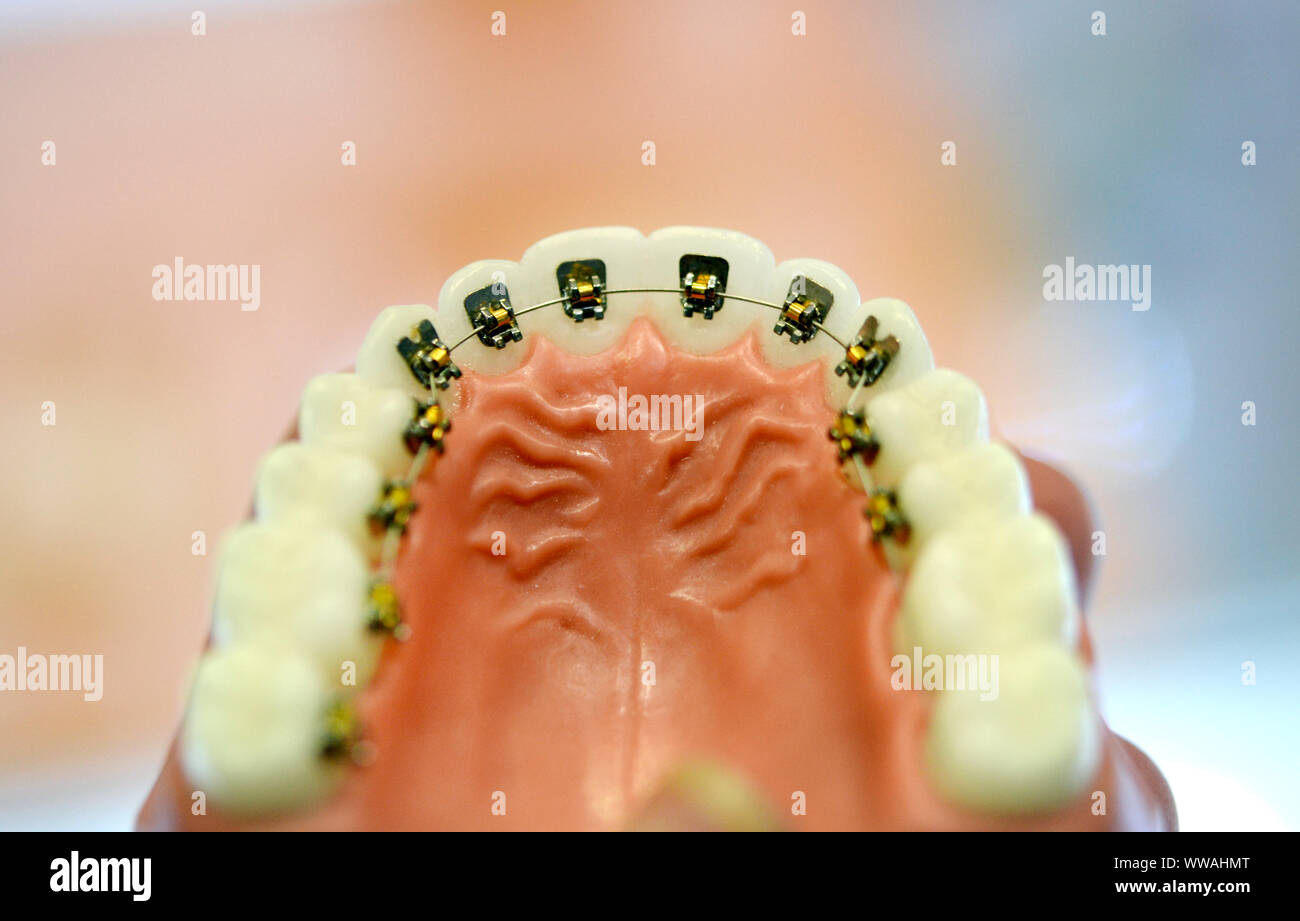 Background dental care model hires stock photography and images Alamy