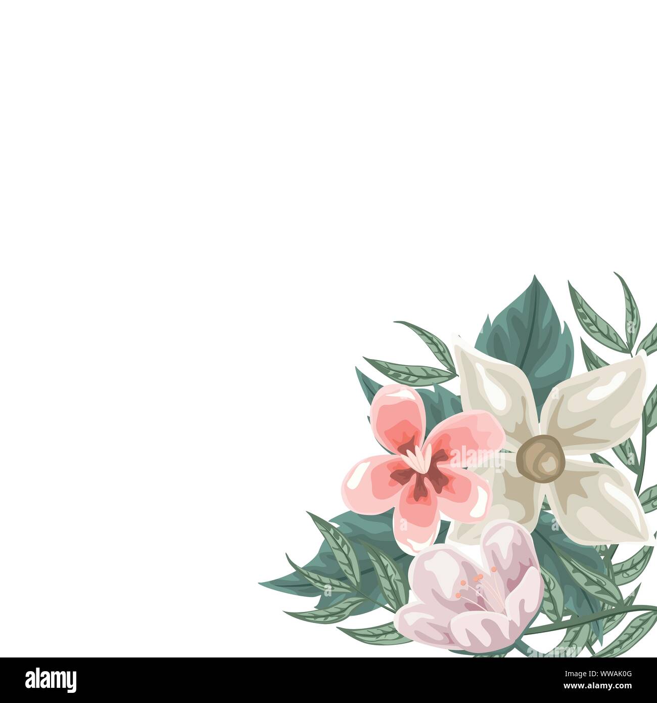 Frame of flowers, jasmine and tulips for dedication Stock Vector Image & Art Alamy