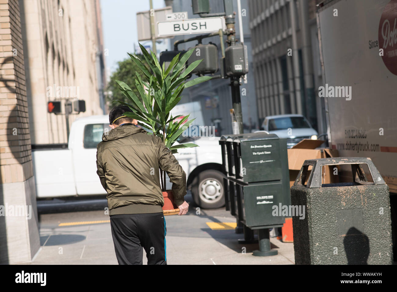 San Francisco, California - November 17, 2018: A man carrying a bushy plant walks in front of the Bush Street sign in the Financial District. Stock Photo