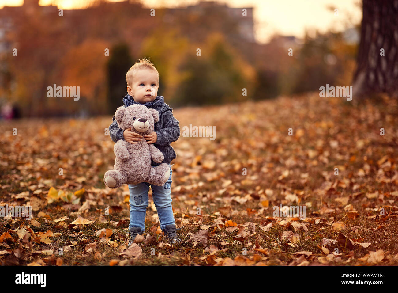 beautiful little boy with teddy bear in park on autumn day Stock Photo ...