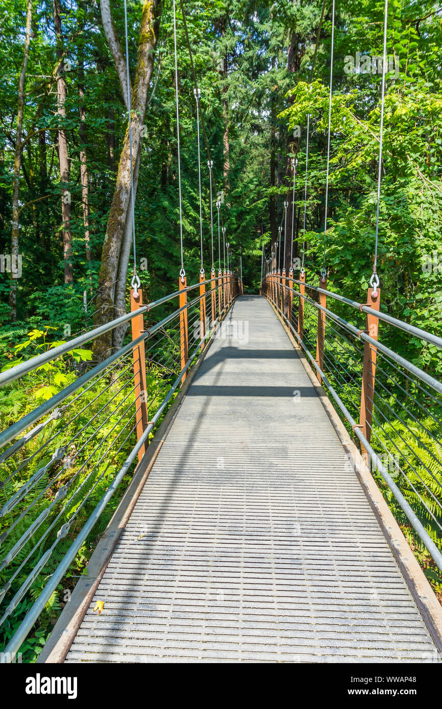 A view of a suspension walking bridge in Bellevue, Washington Stock