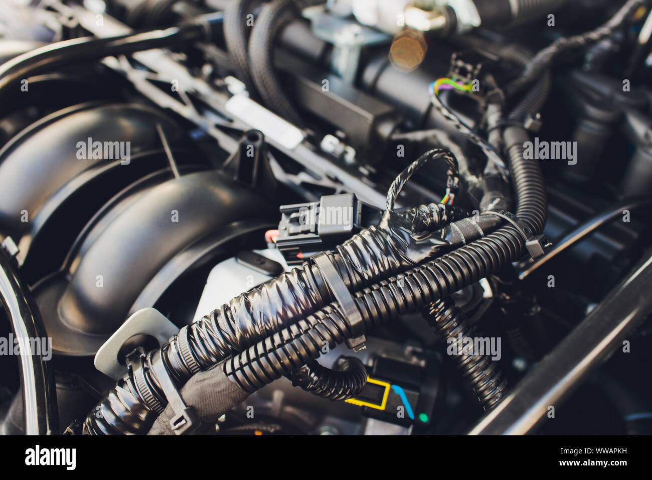 LPG , NGV Gas tanks are installed in a car for the 2 fuel system Stock